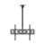 North Bayou 29-60 Inch TV Ceiling Mount