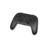 Nintendo Switch Pro Controller