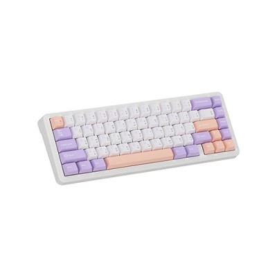 AULA F65 Mechanical Keyboard