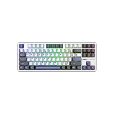 AULA F87 Pro Mechanical Keyboard