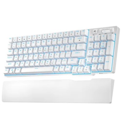 ROYAL KLUDGE RK G68 Mechanical Keyboard-White