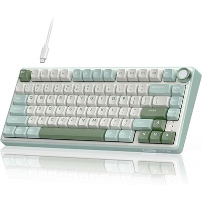 ROYAL KLUDGE RK R75 Mechanical Keyboard (White-Green)