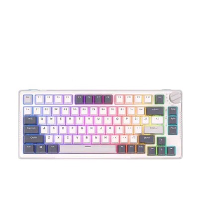 Royal Kludge RK-H81 Mechanical Keyboard-White Night