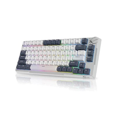 Royal Kludge RK-H81 Mechanical Keyboard-White Night